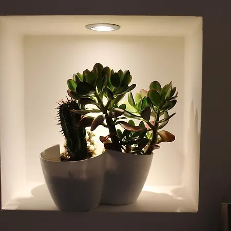 I'mc Ioamocagliari ゲストハウス カリアリ