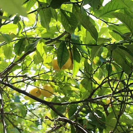 I'mc Ioamocagliari 4* Cagliari