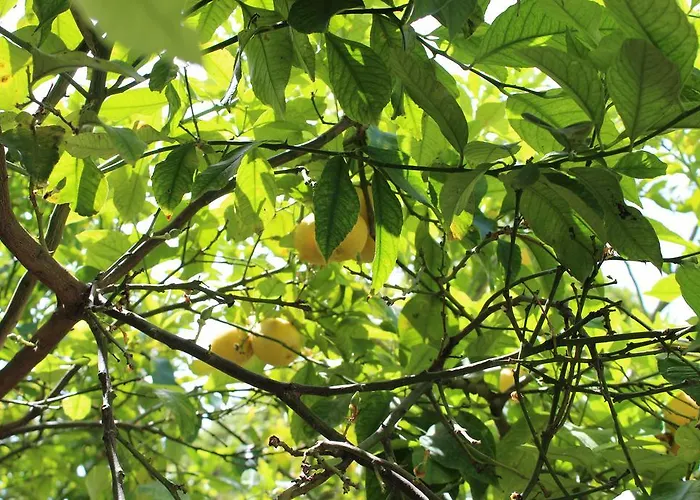 I'mc Ioamocagliari 4* Cagliari